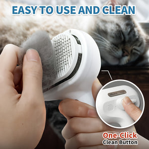 3-in-1 Cat Steam Brush with USB Charging, Stainless Steel Bristles & Release Button