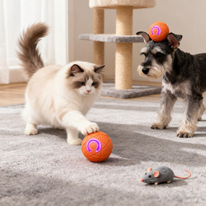 Interactive Bouncing Dog Toy Ball with Gravity-Activated Motion & Automatic Bouncing