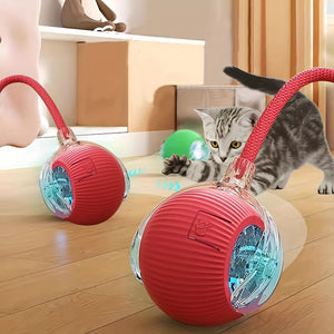 Red Interactive Spherical Pet Toy for Cats