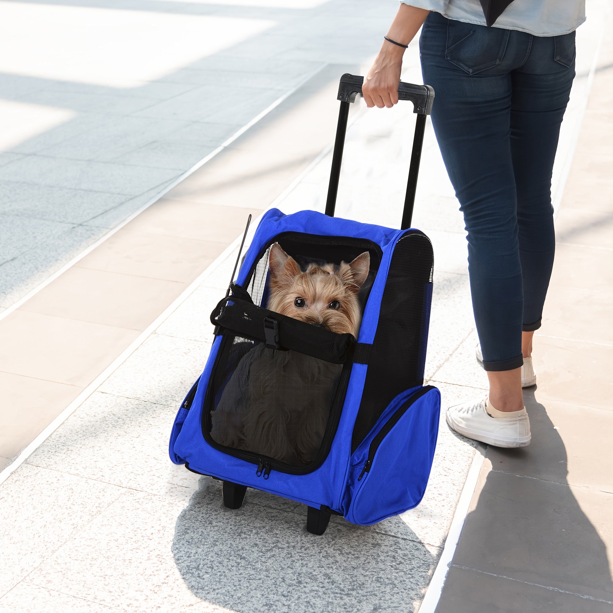 Versatile Blue Pet Carrier Backpack with Rolling Wheels | Removable Stand for Cats & Dogs, Cat Backpack Carrier