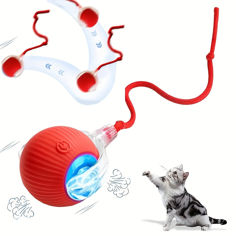 1 Automatic Rolling Cat & Dog Toy Ball with Tail Rope