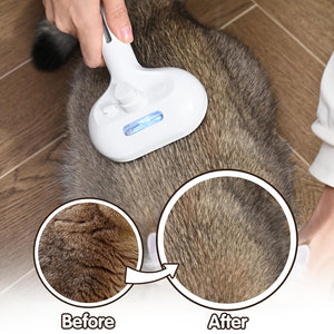 3-in-1 Cat Steam Brush with USB Charging, Stainless Steel Bristles & Release Button
