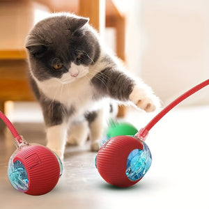Red Interactive Spherical Pet Toy for Cats